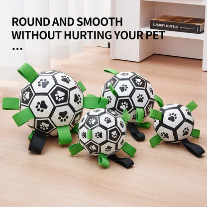 Dog Soccer Ball